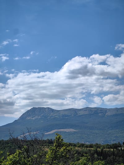 This is a landscape photograph of a mountainous region under a bright, blue sky dotted with fluffy white clouds. The foreground is filled with lush green trees and some bare, thorny branches, suggesting a wild, natural setting. Beyond the trees, a vast, dark green mountain range dominates the middle ground, its slopes covered in dense forest. The peak of the mountain is visible, showing rocky outcrops and a rugged texture. In the distance, a lighter patch of land, possibly a field or cleared area, breaks the monotony of the green slopes. The overall impression is one of a serene and expansive natural environment, likely captured on a clear, sunny day, suggesting daytime. There is no visible text or human activity. The location context is Kiparisnoe, Ukraine.