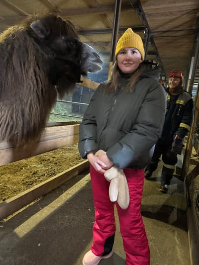 This image, taken in Crokhovo, Russia, depicts an indoor scene featuring one camel and two human subjects. In the foreground, a light-skinned female with long brown hair, wearing a yellow knit beanie, a dark olive-green puffer jacket, bright red ski pants, and light pink footwear, holds a light brown plush bunny toy in both hands. She stands smiling faintly, looking directly at the viewer. To her left, a large, dark brown, shaggy-haired camel, fitted with a black halter, is partially visible from the head and upper neck within a wooden enclosure containing dirt and hay. The camel's head is oriented slightly towards the female. In the background, to the right of the female, a male individual in a dark uniform with yellow reflective stripes and a red helmet is partially observed, also smiling. The environment suggests a stable or barn, characterized by a concrete floor in the foreground, wooden barriers forming an animal pen, and overhead structural elements, illuminated by artificial light sources.