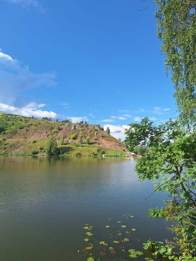 The image depicts a scenic view of the Usolka River in Sim, Russia, on a bright, sunny day. The river occupies the foreground, its surface rippling with the gentle breeze. Lily pads and yellow water lilies are scattered across the water, particularly in the lower right corner. Across the river, a verdant hill rises, its slopes covered in grass and dotted with trees and rocky outcrops. The hill is a mix of green and brown hues, suggesting a natural, untamed landscape. Along the base of the hill, small, colorful structures that appear to be fishing huts or small cabins are visible, indicating a recreational area. The sky above is a vibrant blue, punctuated by scattered white clouds, creating a sense of vastness and clarity. In the right foreground, the branches of a leafy green tree, possibly a birch, hang into the frame, its leaves creating a natural frame for the picturesque scene. The overall atmosphere is serene and idyllic, showcasing the natural beauty of the Russian countryside.