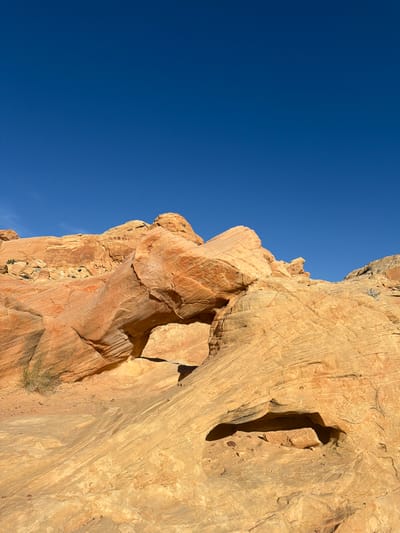 The image depicts a sandstone cliff face under a clear, deep blue sky. The cliff is predominantly light brown and tan, with variations in color suggesting different layers and mineral compositions. The rock surface exhibits textures indicative of wind and water erosion, including grooves, cavities, and rounded edges. There is a small patch of sparse vegetation clinging to the lower part of the cliff face. The image is taken from a low angle, emphasizing the height and scale of the rock formation.
The location of the image is in the Moapa Valley, Nevada, United States.