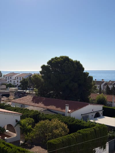 The image captures a coastal view of residential buildings in Alcalà de Xivert, Spain, under a clear, bright sky. The foreground is dominated by lush green hedges and trees, with glimpses of white-walled houses with terracotta roofs. In the mid-ground, a cluster of white buildings with red-tiled roofs and arched windows is visible, suggesting a Mediterranean architectural style. A large, dense evergreen tree stands prominently in the middle ground, partially obscuring the view of some of the buildings. Beyond the houses, the calm, blue sea stretches to the horizon, its surface sparkling under the sunlight. The overall impression is one of a peaceful, sun-drenched coastal settlement.