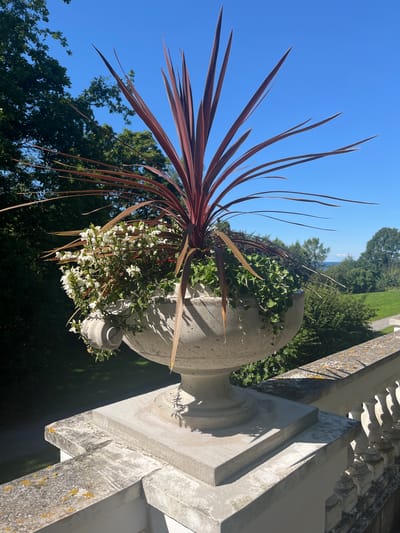 An ornate, weathered stone planter sits on a white balustrade overlooking a green landscape with trees and a distant body of water, under a clear blue sky. The planter contains a tall, reddish-purple spiky plant, surrounded by cascading green vines and clusters of small white flowers. The balustrade itself is also made of stone, showing signs of age and moss growth. The background reveals a gently sloping lawn, a path, and mature trees, with a hint of the sea or a large lake on the horizon. The scene captures a serene outdoor setting, likely in a garden or park area. This scene is located at the Toila-Oru Park in Toila, Estonia.
