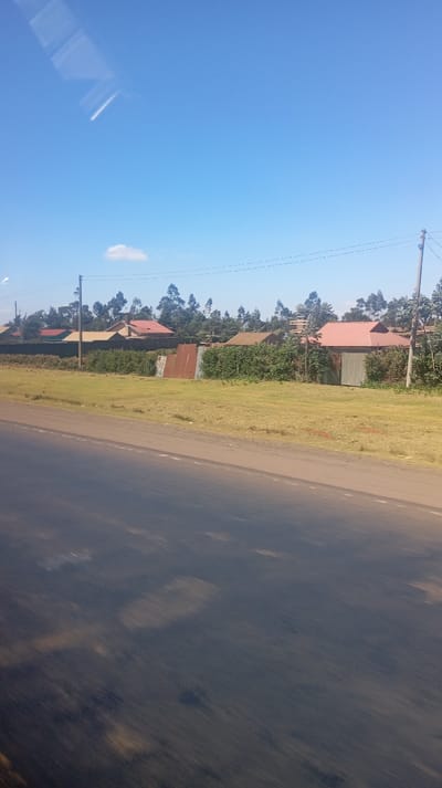 A roadside scene under a clear blue sky. Several houses with varying roof colors line the horizon, partially obscured by trees and shrubbery. Patches of grassy land extend towards the road, with metal structures integrated within the foliage. Electrical poles stand at intervals, and the asphalt road dominates the foreground, with streaks and shadows suggesting recent moisture. A small white cloud floats in the distance.