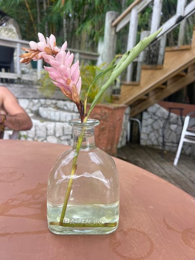 A pink flower with a long green stem sits in a clear Patron tequila bottle filled with water. The bottle rests on a brown table outdoors. The background features a stone wall, wooden stairs, and greenery. A glimpse of a person's shoulder and arm is visible near the bottom of the frame. The flower appears slightly wilted.