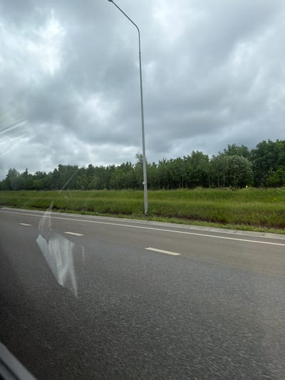 This image depicts a roadside view in Menzelinsk, Russia, captured from a moving vehicle under an overcast sky. The foreground features a grey asphalt road displaying horizontal motion blur. A solid white line marks the right edge of the road, and a partial white dashed line is visible further left. Bright, irregular reflections, originating from the interior of the vehicle, are cast upon the road surface in the lower-left quadrant. A tall, light-grey metal street light pole with a curved arm extends upwards on the right side of the frame, bearing a small white rectangular tag inscribed with the number "2.84" on its lower section. A strip of vibrant green grass and wild vegetation separates the road from a dense treeline composed of dark green deciduous trees, which spans the mid-ground. The sky is uniformly covered by a thick layer of grey, diffuse clouds, indicating an overcast day with low light. No human figures or other vehicles are discernibly present in the scene.