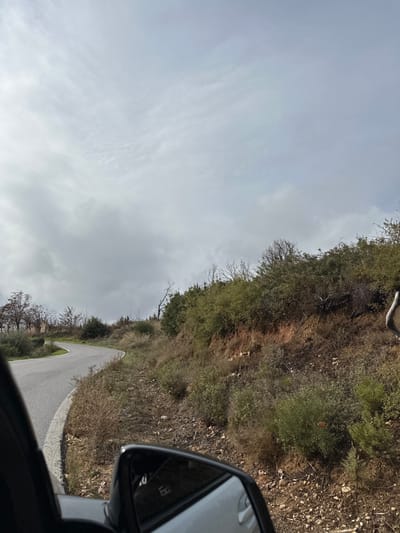 The image, correctly oriented to landscape, depicts a view from inside a vehicle traveling on a winding road through a natural, hilly landscape. The sky, occupying the upper left and central portions, is overcast with light gray, diffused clouds, indicating daytime without direct sunlight.

The foreground, specifically the lower right, shows the dark frame of a car's window and its side mirror. The side mirror reflects a blurry view of the car's body and the sky, with an indistinct, small, letter-like shape (possibly 'H' or 'B') faintly discernible within the reflection.

An asphalt road curves gently from the mid-right towards the lower center of the frame. A white line marks the right edge of the road as it follows the contours of the terrain. The landscape on both sides of the road consists of undulating hills covered in a mix of dry, brownish vegetation and patches of greener shrubs and trees. Some bare branches are visible among the foliage, suggesting a season of dormancy or a naturally arid environment. The scene evokes a sense of quiet travel through the Mediterranean landscape of Anatoliki Attiki, Greece. No people are visible in the image.