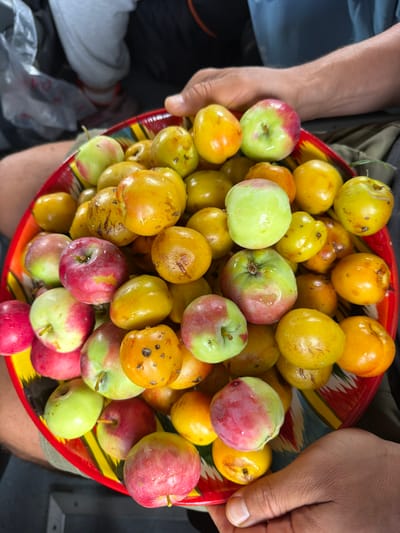 A close-up, overhead shot shows a colorful, shallow bowl filled with a variety of small, round fruits. The bowl has a red rim and a patterned interior featuring red, yellow, and green geometric designs. The fruits themselves vary in color, with shades of yellow, green, and pink predominating. Some of the yellow fruits have dark speckles. The fruits appear to be apples, with some exhibiting the characteristic red blush on a green or yellow background. The bowl is held by two pairs of hands, suggesting it is being presented or shared. The hands are tan and appear to be those of adults. The background is out of focus but shows glimpses of fabric and possibly people seated, indicating an outdoor or informal gathering. Based on the cultural patterns of the bowl and the context of fruits typically found in Central Asia, the scene is likely located in a rural or semi-rural setting in Kyrgyzstan, possibly near the village of Кызыл-Туу, which is known for its orchards and agricultural landscape. The overall impression is one of abundance and a shared moment of enjoying fresh produce.