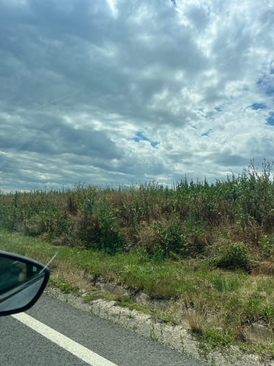 The image shows a roadside view in Cotu Morii, Romania. The foreground features a section of asphalt road with a white line marking the edge. To the right of the road, there is a ditch with overgrown grass and some weeds. Beyond the ditch is a field of tall, dry grass and vegetation, with some patches of green growth interspersed. In the upper part of the image, a cloudy sky is visible with patches of blue peeking through. A faint contrail from an aircraft is visible in the sky. A car's side mirror is partially visible on the left side of the frame, indicating the photo was taken from a moving vehicle.