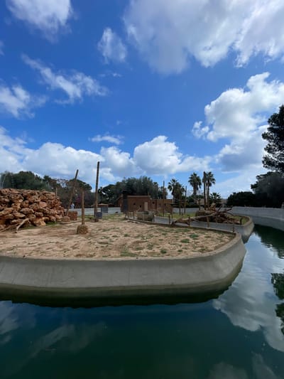 This image depicts an outdoor animal enclosure within the Safari Zoo Sa Coma, located in Sant Llorenç des Cardassar, Spain. The scene is captured under a bright blue sky marked by scattered white cumulus clouds, which are reflected in the dark green water that occupies the foreground and forms a moat. A low, light grey concrete retaining wall defines the perimeter of a semi-circular, man-made island habitat. The island's surface consists of dry, sandy earth with sparse patches of green vegetation. On the left side of the island, a substantial mound of reddish-brown rocks and logs is visible. Multiple tall, debarked wooden poles or trunks are vertically embedded in the ground across the island, some stabilized by small rock formations at their bases. Towards the center-right, a two-story, flat-roofed structure, constructed from brown material and resembling an animal shelter, is situated. Adjacent to this structure, another section of the island contains additional logs and branches arranged as habitat enrichment. A narrow channel of water separates the main island segment from a smaller land strip to its right. A single individual, dressed in light-colored clothing, is faintly visible in the distant background near the large rock pile. Beyond the enclosure, a dense line of trees, including several tall palm trees, forms the background, partially obscuring additional park structures.