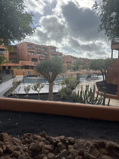 The image displays a resort complex grounds in San Miguel de Abona, Spain, under an overcast sky with visible cloud formations. In the background, a series of multi-story, terraced buildings constructed with terracotta-toned facades and dark-framed windows and balconies stretch horizontally across the mid-ground. The central area features a light blue swimming pool surrounded by dark lounge chairs and thatched sun umbrellas. Adjacent to the pool are landscaped beds containing a prominent multi-trunked dragon tree, various succulents including aloes (some with yellow flower spikes), and tall, segmented cacti, all planted in dark volcanic gravel. Paved pathways of a lighter color wind through these areas. A smooth, curved terracotta-colored low wall or planter edge runs across the lower mid-ground, separating the primary scene from the immediate foreground. The foreground consists of a flat expanse of dark volcanic gravel, with a cluster of rough, dark volcanic rocks occupying the bottom left corner. No individuals are present within the scene, and no specific actions or interactions are depicted.