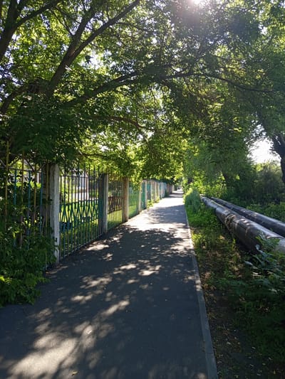 The image depicts a paved walkway alongside a metal fence and a row of large pipes. Trees with dense green foliage arch over the walkway, casting dappled shadows on the ground. The fence is made of vertical metal bars, some painted in various colors, and separates the walkway from a building or property beyond. The pipes appear to be industrial, running parallel to the walkway on the other side, bordered by overgrown greenery. The scene suggests an urban environment, possibly a park, a residential area, or an industrial zone in Novotroitsk, Russia, during daylight hours, indicated by the bright sunlight and shadows. There are no people visible in the image.