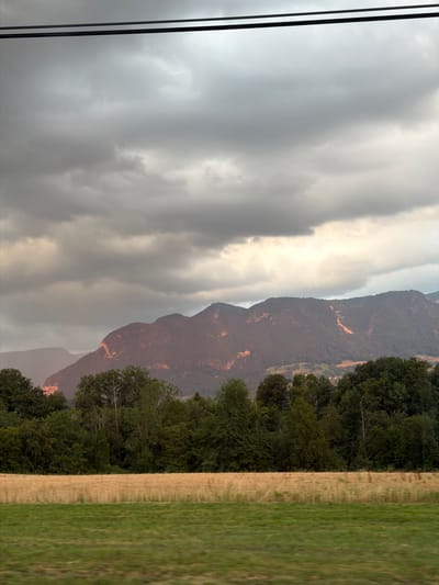 The image depicts a landscape scene with mountains and a field, likely taken from a moving vehicle. On the left side of the frame, two dark wires run vertically, suggesting the viewpoint is from a train or a car passing under power lines.
The dominant subject is a rugged mountain range that stretches across the middle of the image. The mountains are covered in dark, dense foliage, with patches of lighter brown visible on the slopes, possibly indicating exposed rock or erosion. The lighting on the mountains suggests it's either early morning or late afternoon, with a warm, reddish glow illuminating parts of the terrain.
To the right of the mountains, a line of lush green trees forms a border. Beyond the trees, a field is divided into two sections: a strip of dry, golden grass or crops adjacent to the trees, and a vibrant green grassy field to the far right. This juxtaposition of textures and colors suggests a rural or agricultural setting.
The sky is overcast with heavy, dark gray clouds, creating a moody and dramatic atmosphere. The diffused light filtering through the clouds adds to the overall somber tone of the image. There is no visible text in the image. The scene evokes a sense of natural beauty, tranquility, and perhaps a hint of the wildness of the mountainous region. The location context indicates Groisy, France.