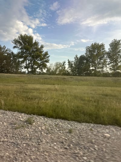 The image depicts an outdoor scene with a bright, overcast sky filled with wispy clouds. To the left of the frame, tall trees with lush green foliage are visible, their branches reaching towards the sky. Beyond the trees, a vast expanse of dry, golden grass stretches into the distance, suggesting a warm or dry season. On the right side of the image, a gravel path or road runs along the edge of the grassy field. The gravel is composed of small, multi-colored stones. The overall impression is a natural landscape under a partly cloudy sky, likely during daytime. There are no people or specific objects of interest, and no text is visible. The orientation of the image is unusual, as it appears to be rotated.