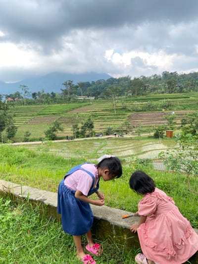 Two young East Asian girls are positioned in the foreground, facing downward and interacting with an object on a low concrete barrier. The girl on the left wears a pink short-sleeved top under blue denim overalls and pink sandals with floral embellishments. Her dark hair is partially pulled back with a white bow. She is bent over, looking intently at an object. The girl on the right, with dark short hair, wears a ruffled pink dress and light-colored shoes. She is also bent over, holding a small orange stick-like object against the concrete barrier.
They are situated in a lush, green outdoor environment, likely in the city of Penanggungan, Indonesia. Behind the girls, a terraced landscape of vibrant green rice paddies dominates the mid-ground. Some paddies are filled with water reflecting the sky, while others show recently planted or tilled earth. A dirt road or path winds through the rice fields, with several individuals and motorcycles visible in the distance. The background features rolling hills and mountains covered in dense vegetation, partially obscured by an overcast sky with scattered clouds. The overall scene depicts children engaged in play within a rural, agricultural setting under a cloudy sky.