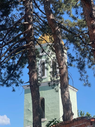 The image is an outdoor, eye-level shot featuring the branches of a pine tree against a clear blue sky. The tree's thick, textured bark and dark green needles are prominent in the foreground and midground, with some branches extending horizontally across the frame.
Behind the tree branches, a light green building is partially visible. It has a light-colored trim around a window and a section of light-colored siding or decorative element at the top. To the right, a partially constructed or weathered brick structure with exposed red bricks and some wooden elements is also in view. The sunlight suggests it is daytime, and the clear sky indicates fair weather. The scene appears to be in a rural or semi-rural setting, given the presence of the tree and the style of the buildings. No people or specific activities are depicted, and there is no visible text in the image. The overall impression is a natural scene partially obstructed by man-made structures.