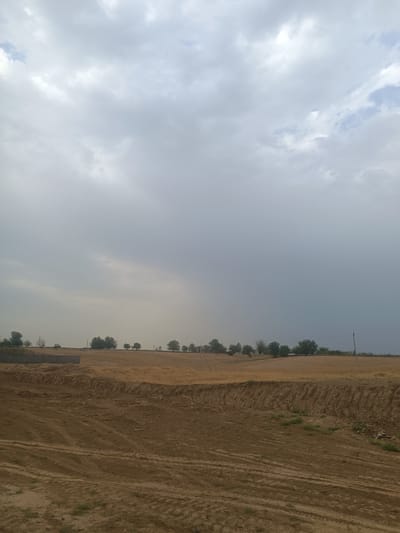 The image depicts an outdoor scene in Bagara, Uzbekistan, under a cloudy sky. In the foreground, there is a large area of disturbed, reddish-brown soil with tire tracks visible, suggesting recent excavation or construction activity. A low, light-colored concrete structure is partially visible on the left edge of the frame. Beyond this, a line of trees and vegetation stretches across the horizon, with some appearing taller and more mature than others. The land behind the trees appears to be a mix of dry grass and cultivated fields. Several utility poles with wires are scattered throughout the landscape, indicating the presence of infrastructure. The overall environment appears rural and dry, with the weather suggesting a possibility of rain or overcast conditions. There are no people or animals visible in the image.