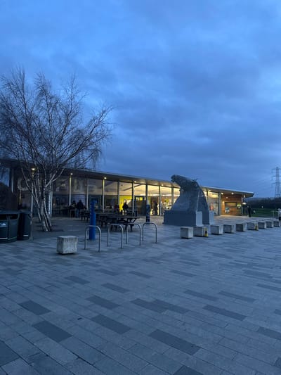 The image depicts an outdoor scene at dusk or early evening at the visitor center for The Helix park, located in Falkirk, United Kingdom. The sky is overcast and uniformly blue-grey.
The central subject is a modern, single-story building with an extensive glass-paneled facade and a sloped roof. The building's interior is brightly illuminated with warm yellow light, revealing approximately 10-15 individuals; some are seated at tables, while others stand near what appears to be a counter or service area. Directly in front of the building's main entrance stands a large, metallic sculpture of a horse's head, constructed from interwoven metal strips, resting on a grey rectangular plinth. This sculpture represents one of The Kelpies.
To the left of the building, a tall, bare-branched tree is visible, alongside several dark brown wooden picnic tables with integrated benches positioned on a paved area. Two dark green outdoor waste bins are located further to the left.
The foreground is a large paved plaza composed of rectangular grey and darker grey paving slabs arranged in a linear pattern. This area features blue metal bicycle racks and a series of light grey concrete block bollards or seating elements.
In the distant background to the right, a grassy expanse leads to a line of trees, and a prominent metal electricity pylon is visible against the sky. A few indistinct human figures are also present in this distant right background.