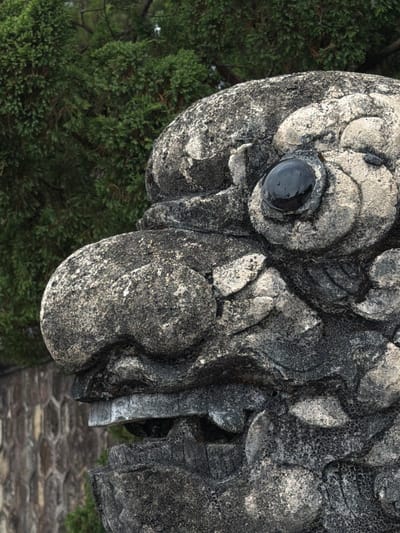 A close-up, rotated view reveals a weathered stone carving, possibly of a dragon or mythical creature, with a prominent, glossy black eye. The stone is textured and speckled, indicating age and exposure. The carving sits in an outdoor setting, as evidenced by the dense green foliage filling the background on the left, and a patterned stone path is visible beneath the carving on the right. The location is the city of Thủy Xuân Ward, Vietnam.
