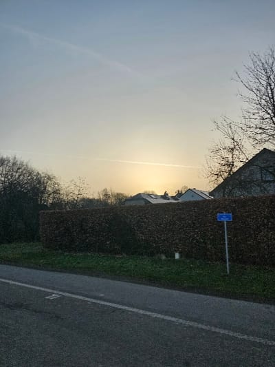 The image displays an outdoor scene at either sunrise or sunset in La Roche-en-Ardenne, Belgium, specifically on Rue du Marché, as indicated by a legible blue street sign in the lower right midground. The sky, occupying the upper two-thirds of the frame, exhibits a gradient from light blue at the zenith to bright yellow at the horizon, with a faint linear contrail visible horizontally across the upper portion and another shorter contrail above the bright sun.
In the foreground, an asphalt road runs diagonally from the lower left towards the lower right, featuring a solid white line and a dashed white line along its left edge. Adjacent to the road on the right is a narrow strip of green grass. Beyond the grass strip, a dense, dark brown and green hedge extends horizontally across the midground, forming a visual barrier. A small white cylindrical object is positioned on the ground immediately behind the hedge, slightly left of the center.
Above and behind the hedge, several residential buildings with dark sloped roofs are partially visible, silhouetted against the bright horizon. Bare deciduous trees with dark branches are present on the left and right sides of the frame, also partially silhouetted. No individuals, vehicles, or specific actions are depicted within the scene. The overall lighting suggests low sun conditions.