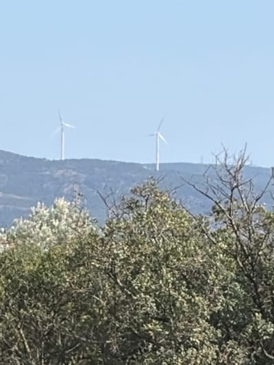This media file captures a scenic view with two wind turbines visible on a distant, mountainous landscape. The turbines appear to be in operation, with their blades extended. In the foreground, dense green foliage from trees partially obscures the view, with some bare branches also visible. The sky is clear and bright blue, suggesting it is daytime, likely under sunny weather conditions. The overall scene conveys a sense of natural beauty combined with renewable energy infrastructure, possibly hinting at a rural or mountainous region. The image is oriented vertically, with the sky occupying the left side and the treeline and mountain filling the right. There is no visible text in the image. The location context of Dobra Voda, Montenegro, suggests a coastal or near-coastal mountainous area in the Balkans.