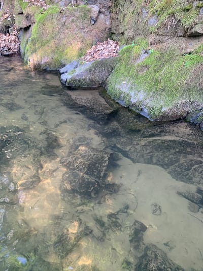 A shallow, clear stream flows over a rocky bed, with moss-covered stones lining the bank on the right side of the frame. The water reflects the surrounding environment, creating distorted patterns on the streambed. The stream is located in the city of Ustinovka, Russia, in a natural setting that appears to be a park or wooded area. The image is focused on the water and the immediate surroundings, with no people or visible activity. The lighting suggests it is daytime, possibly with overcast conditions given the diffused light. The environment is serene and untouched.