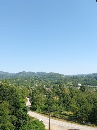 The image captures a clear, bright day with a vast expanse of blue sky dominating the upper half of the frame. Below the sky, a sprawling, verdant landscape unfolds, characteristic of the hilly terrain found in the city of Kaynaşlı, Turkey. The middle ground is characterized by rolling hills covered in dense, lush green trees, with scattered buildings and rooftops peeking through the foliage, indicating a rural or semi-rural settlement. The foreground features a winding asphalt road that curves from the left side of the image towards the center, with a white car visible driving away from the viewer. The road is bordered by thick green trees and bushes, some of which are close to the camera, and a wooden fence runs along the right side of the road in the middle ground. The overall impression is one of a peaceful, natural setting with signs of human habitation integrated into the landscape.