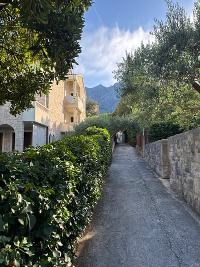 The image depicts a narrow, paved alleyway in Makarska, Croatia, lined with lush green ivy hedges on the left and a stone wall on the right. Mature trees with green foliage overhang parts of the alley, creating a shaded canopy. To the left, a light-colored, multi-story building with balconies and arched entrances is visible. In the background, majestic, rugged mountains rise against a blue sky with scattered white clouds. A small bird can be seen in flight in the upper part of the sky. The scene suggests a peaceful, sun-dappled pathway in a Mediterranean town.