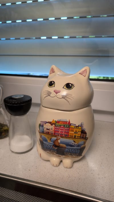 This is a horizontal, medium shot photograph of a decorative ceramic cat figurine on a countertop. The cat figurine is cream-colored and is designed to resemble a cartoonish feline with large, green eyes and pink detailing on its ears and nose. The body of the cat is decorated with a colorful depiction of a European cityscape, featuring buildings in shades of red, yellow, blue, and white, and a small brown cat perched on a balcony. The figurine appears to be a lidded container.

In front of the cat figurine, and slightly to the right, is a glass salt shaker with a black cap. The salt shaker is partially filled with white salt. The countertop appears to be speckled and light gray. In the background, to the left of the cat, is a window covered by vertical blinds. The blinds are partially open, allowing light to filter through and casting distinct vertical lines and shadows. Hints of green foliage are visible through the blinds, suggesting an outdoor view. The lighting suggests it is daytime.

The overall setting appears to be a domestic kitchen or dining area, given the presence of the countertop, salt shaker, and window blinds. There are no people visible in the image. The image is oriented vertically, making the cat appear to be sitting upright. The photograph was taken in Dissen am Teutoburger Wald, Germany. There is no visible text in the image.