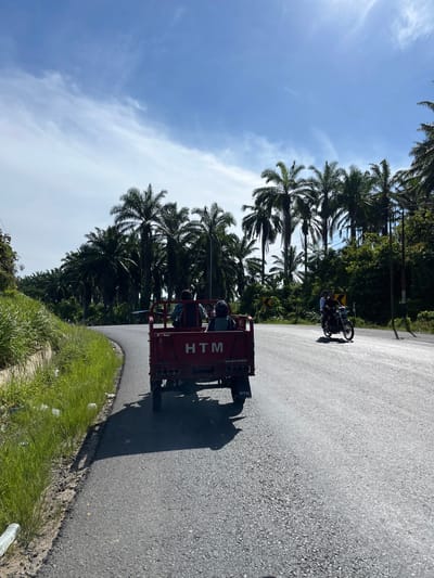 The image shows a street scene in Bukitrata, Indonesia, with palm trees lining the road. The photo is taken from a low angle, looking upwards towards the sky and the tops of the trees. A red truck with the text "HTM" on its side is the most prominent object in the foreground, carrying several passengers in its open bed. The truck appears to be moving along the asphalt road. In the background, a motorcycle carrying two people is also visible, following the truck. The sky is blue with some wispy white clouds, suggesting it is daytime, likely mid-morning or early afternoon. The weather appears to be sunny and clear. The overall scene evokes a sense of tropical travel or daily commute in a rural or semi-rural Indonesian setting. The presence of the truck suggests it may be a form of local transport. The image conveys a vibrant and lively atmosphere, characteristic of a tropical environment. The foliage of the palm trees is dense and green, indicating a lush and healthy ecosystem. The road surface is a typical grey asphalt, with a small patch of green grass and vegetation along the side.