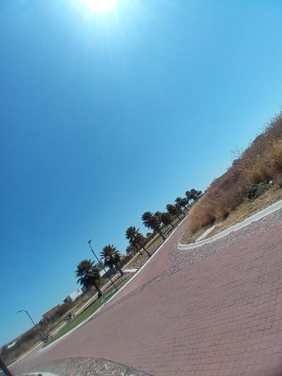 The image depicts a bright, clear daytime scene, captured with a significant rightward tilt. A wide, reddish-brown paver-stone road curves gently to the right from the foreground, leading into the midground. To the left of the road, a landscaped median features a row of uniformly spaced palm trees and multiple dark-colored streetlights with curved arms. The median also contains green grass and lighter-colored paving or curbing. In the far background on the left, indistinct light-colored buildings are partially visible. To the right of the main road, a sloped embankment is covered with dry, yellowish-brown grasses and some sparse green vegetation, bordered by a concrete curb. The sky is a vivid blue, dominating the upper portion of the frame, with the sun prominently visible in the upper left corner, emitting strong glare and light rays. No individuals or active vehicles are clearly visible within the scene, which is presumably located in La Venta, Mexico.