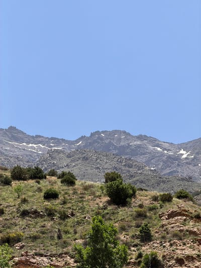 This image presents a wide view of the High Atlas Mountains near Asni, Morocco, under a clear, light blue sky. The upper two-thirds of the frame consists of an unobstructed, pale blue sky. Below, a rugged, gray mountain range stretches across the horizon, displaying stark, rocky terrain with intermittent patches of white snow visible on its upper slopes and crevices. The lower portion of the image depicts a sunlit, vegetated hillside composed of reddish-brown earth and exposed rock formations. This slope is covered by a dense growth of green grass, numerous dark green shrubs, and several lighter green trees. Visible in the midground are sparse fence posts and one small, conical evergreen tree protected by a cylindrical wire mesh cage. No individuals or other man-made structures are discernible within the scene.