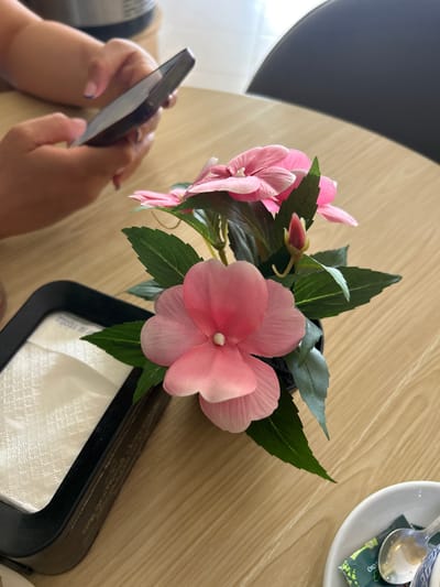 This overhead shot captures a close-up of a table setting with a person's hands holding a smartphone. The hands, with painted nails, are positioned on the left side of the frame, interacting with the dark-colored phone. On the table, a small black pot holds a cluster of vibrant pink artificial flowers with green leaves. To the right, a white saucer holds a spoon and a small packet, suggesting a beverage service. A napkin holder, also on the right, contains white napkins. The table itself is made of light-colored wood with a visible grain. The overall scene appears to be an indoor setting, possibly a cafe or restaurant in Vera, Spain, given the location context. The lighting suggests daytime, and the focus on the hands and phone indicates the person is likely engaged with their device. The artificial flowers add a decorative element to the table. There is no visible text in this image.