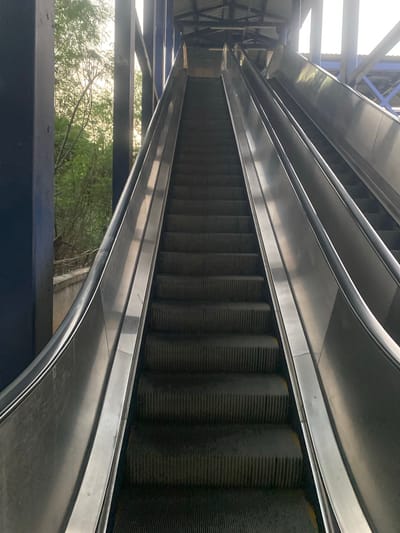 The image shows a close-up, high-angle view of a metal escalator. The escalator steps are dark and ribbed, with a yellow warning strip visible on the edge of some. The handrails are polished metal, curving smoothly. The surrounding structure is made of silver-colored metal beams and a dark blue frame. Sunlight streams in from above, creating reflections on the escalator's surface. In the background, through an opening in the structure, lush green trees and branches are visible, suggesting an outdoor setting. The lighting suggests it is daytime. There are no people visible. The scene appears to be a public space, possibly a transport hub or shopping center, given the presence of an escalator. The image is likely taken in St.Thomas Mount-Pallavaram Cantonment Board, India.