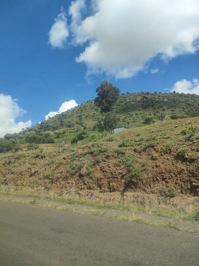 The image depicts a hillside landscape in what is likely the Kisima Ward of Kenya. The foreground features an asphalt road, slightly elevated above the immediate terrain. Above the road, the hillside transitions from exposed reddish-brown soil and rocks to grassy vegetation interspersed with shrubs and small trees. A single, taller tree stands out towards the middle of the slope. Further up the hill, the density of trees increases, suggesting a forested area. The sky above is blue with scattered white clouds. The composition suggests the photo was taken from a moving vehicle. There are no people visible in the scene.