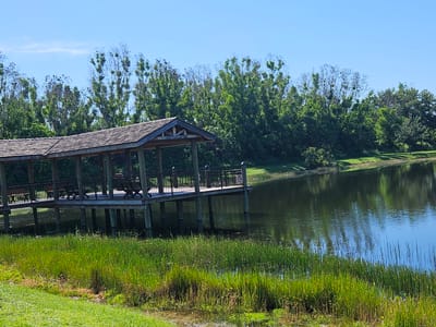 The image shows a wooden pier with a covered roof extending over a body of water. The pier has black metal railings and several benches are visible underneath the roof. The water is dark and reflects the surrounding trees and the blue sky. Lush green grass and reeds are present along the shoreline in the foreground. The background features a dense line of trees under a clear blue sky. This scene is located at the Riverwalk Boardwalk in Port Saint Lucie, Florida, United States of America.