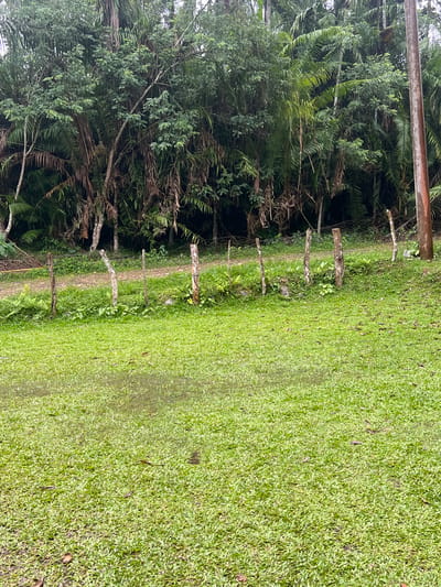 The image depicts a grassy area with a makeshift fence made of wooden posts in Kilometer Delapan, Indonesia. In the background, a dense forest with various types of trees and foliage forms a wall of greenery. The ground in the foreground is covered with short, green grass, some of which appears wet and shows reflections. A dirt path runs horizontally behind the fence. The overall scene suggests a rural or semi-rural environment within the specified Indonesian location. There are no people visible in the image.