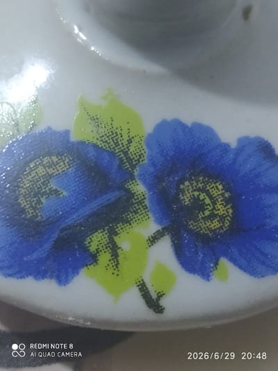 This is a close-up, angled shot of a white ceramic surface decorated with blue flowers and green leaves. The image is taken indoors and appears to be a product shot or a detail of a decorative item. There are no people or recognizable city landmarks present. The bottom right corner displays a timestamp: "2026/6/29 20:48". The bottom left corner has a watermark indicating "REDMI NOTE 8 AI QUAD CAMERA".
