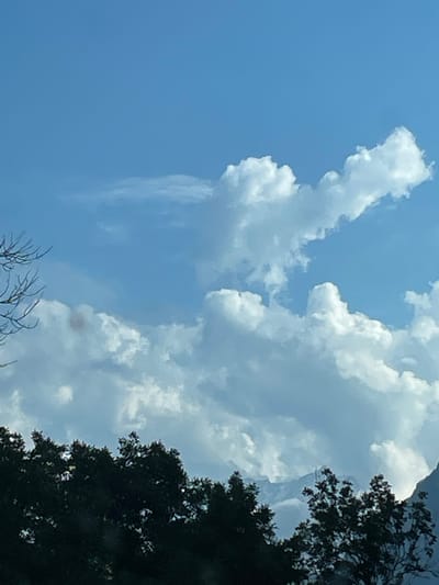 This is a photograph of a cloudy sky with some trees in the foreground. The clouds are white and fluffy, and the sky is blue. There are some branches of a tree visible on the left side of the image. The bottom of the image is filled with the dark silhouettes of trees. In the background, faint outlines of mountains are visible through the clouds. The image appears to have been taken during the daytime. There is no information within the image to suggest a specific location in the city of Редант, Russia.