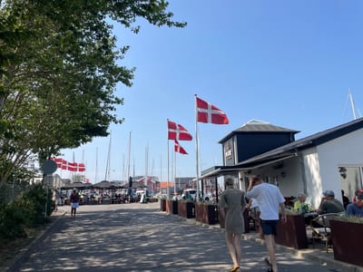 This image depicts a sunny outdoor scene at a harbor or waterfront area in Juelsminde, Denmark. In the foreground, a paved pathway is visible, with a tree on the left providing dappled shade. Two individuals, a man and a woman, are walking away from the camera on the pathway.
Further into the scene, there is a building with a black upper section and a white lower section, featuring outdoor seating areas with umbrellas and tables occupied by patrons. Several Danish flags are prominently displayed on poles, flying against a clear blue sky. In the background, numerous sailboats are moored in the water. The overall atmosphere suggests a pleasant, leisurely day at a coastal town.