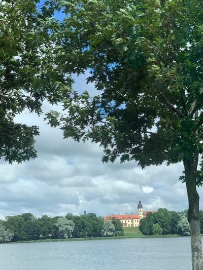 The image depicts a serene waterscape in Niasvizh, Belarus, with a notable castle in the background. The foreground is dominated by the lush green foliage of trees, framing the view of a wide, tranquil body of water that reflects the cloudy sky. Beyond the water, a picturesque scene unfolds: a line of diverse trees forms a verdant border along the shoreline. Prominently situated on a gentle rise behind the trees is a large, multi-story building with a distinct architectural style, characterized by its red-tiled roofs and a prominent tower topped with a spire. The building's facade is a light yellow, suggesting a historical structure, likely the Niasvizh Castle. The sky above is a mix of bright blue patches and large, fluffy white clouds, hinting at fair weather. The overall atmosphere is one of natural beauty and historical significance, typical of the Niasvizh region.