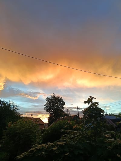 The image depicts a sunset over a residential area in Nesvizh, Belarus. The sky is filled with dramatic clouds illuminated by the setting sun, showcasing shades of orange, yellow, and blue. In the foreground, lush green trees and foliage dominate the lower portion of the frame, obscuring much of the ground and some of the buildings. Silhouetted against the vibrant sky are the roofs of houses, telephone poles, and electrical wires. A prominent power line stretches diagonally across the upper half of the image. The overall scene conveys a tranquil, natural evening atmosphere within a developed area.