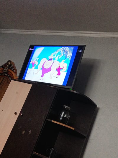 This is a medium-shot, eye-level, indoor, eye-level photograph taken from a low angle, showcasing a television screen displaying an animated cartoon with muscular characters in purple swimsuits. To the left of the television is a portion of a wooden cabinet with a carved wooden headboard. Below the television is a dark wooden cabinet with a shelf containing a glass jar. The overall scene is dimly lit, with a wall painted a neutral gray. The television is tilted forward and shows content from a channel called "Junior". The scene is located in Pistamazor, Tajikistan.