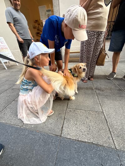 In Mataró, Spain, a young girl in a white cap and a floral top kneels on a cobblestone sidewalk, petting a light brown dog wearing a yellow vest. The dog is on a leash held by the girl. A boy in a blue shirt and a white cap stands nearby, leaning over the dog. To the left, a man in a striped t-shirt smiles. Behind them, a woman in a leopard-print skirt stands, holding a straw bag. The environment appears to be an urban street with buildings and signs in the background.