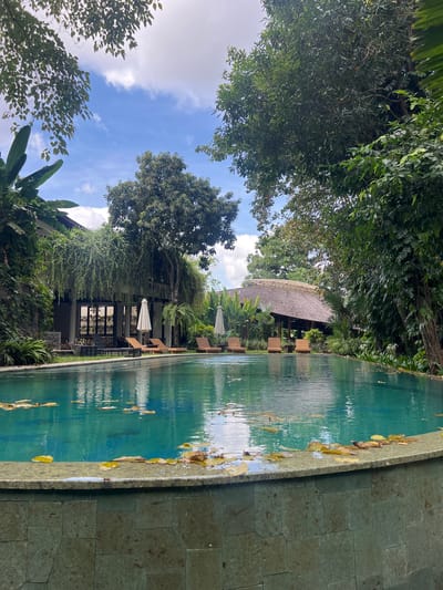 This outdoor scene in Kerobokan, Indonesia, shows a turquoise-colored swimming pool with fallen yellow leaves along the edge. A low building with a dark roof is partially visible beside the pool, surrounded by lush greenery and trees. Patio furniture, including chairs and white umbrellas, can be seen near the building. The sky is blue with scattered clouds, visible through the trees.
