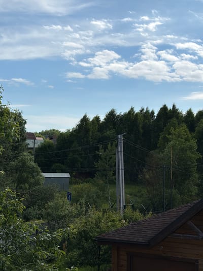 The image depicts a natural scene in Satino-Russkoe, Russia, under a partly cloudy blue sky. The foreground is dominated by lush green foliage, with the roof of a wooden structure visible in the lower right corner. A light-colored metal shed is situated among the trees. Several power lines crisscross the midground, supported by a concrete utility pole. A blue road sign with a white symbol is also visible. In the background, a dense line of dark green trees stretches across the horizon, interspersed with glimpses of houses with red and green roofs. The overall impression is one of a rural or semi-rural setting on a clear day.