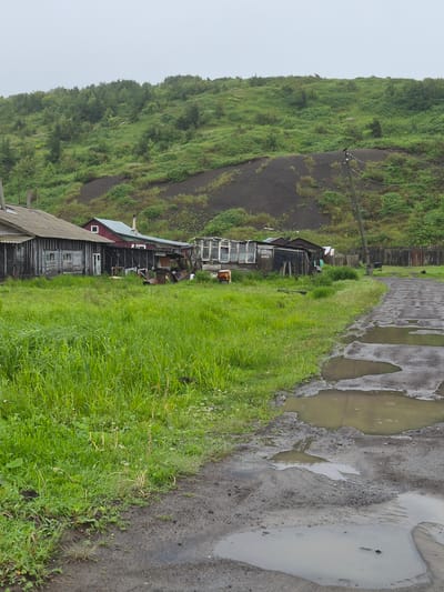 The image depicts a rural scene in Uglegorsk, Russia, characterized by overcast skies and a damp environment. A dirt road, pocked with numerous puddles, dominates the foreground and extends into the middle ground. To the left of the road, a dense patch of vibrant green grass grows, with some scattered wildflowers.
In the middle ground, several weathered wooden structures are visible. The closest building on the left appears to be a long, low structure with a corrugated metal roof and dark wooden siding. It has small, rectangular windows. Further back, a red-roofed building with a grey extension stands adjacent to it. To the right of these buildings, more structures are clustered, including one with a large glass-paneled section, resembling a greenhouse or sunroom, and other dilapidated wooden sheds. There are various discarded objects, including metal scraps and what appear to be barrels, scattered around the buildings. A wooden fence runs along the right side of the middle ground, separating the settlement from the background.
The background features a steep, grassy hillside covered in lush green vegetation. Patches of dark, barren earth are visible on the slope, suggesting erosion or a different type of soil. A single wooden utility pole with wires stands on the right side of the frame, partially obscured by the hillside vegetation. A bird is perched on the utility pole. The overall impression is one of a remote, somewhat neglected rural settlement under a heavy, grey sky.