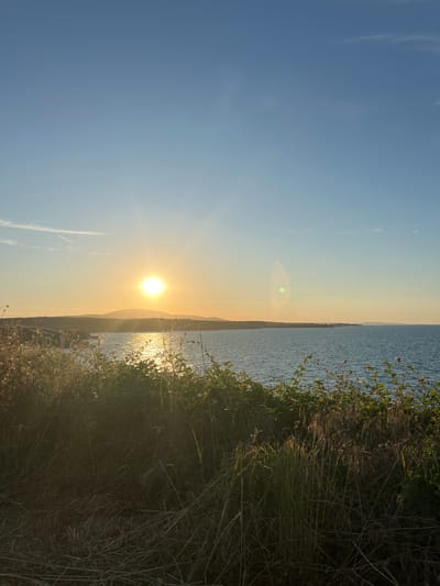 The image depicts a serene coastal landscape at sunset, likely near Sinemorets, Bulgaria. The sun, a bright orb, is positioned in the western sky, casting a golden glow on the calm sea and the distant, rolling hills. The water reflects the sunlight, creating a shimmering path towards the shore. In the foreground, dense, dry grasses and green bushes obscure the land, with some of the foliage illuminated by the setting sun. The sky is a gradient of clear blue at the top, transitioning to a soft yellow and orange hue near the horizon. Wispy clouds are visible high in the sky, and a faint lens flare is present on the right side of the image. The scene conveys a peaceful, natural environment.