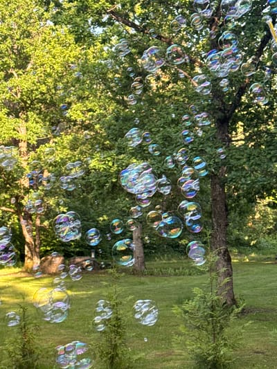 This media file depicts a cluster of iridescent soap bubbles floating in the air against a backdrop of lush green foliage and a grassy lawn. The bubbles, in various sizes and shapes, catch the sunlight, creating a dazzling display of rainbow colors. Some bubbles are large and round, while others are smaller and irregularly shaped, some clustered together, while others are more spread out.
The scene appears to be outdoors, possibly in a park or a backyard, given the presence of trees and grass. The lighting suggests it's daytime, likely late afternoon or early evening, as the sunlight casts a warm glow on the scene. The overall mood is whimsical and joyful, evoking a sense of childhood wonder and playful activity. There is no visible text in the image.
