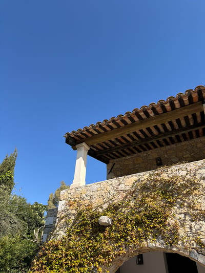 The image displays a low-angle view of a traditional stone building under a clear blue sky, situated in Mougins, France. The structure features walls constructed from varied natural stones, exhibiting a robust, rustic aesthetic. A section of the building's upper level includes a balcony or overhang supported by a light-colored, square column, with a roof composed of terracotta tiles and exposed wooden beams. Ivy, characterized by small green and yellowish-red leaves, heavily covers portions of the stone wall, particularly around a prominent arched entrance visible in the lower section of the image. An exterior wall-mounted light fixture is visible on the stone facade beneath the overhang. To the left, a tall, slender cypress tree and other green foliage are present, suggesting a natural, landscaped environment. The lighting indicates direct sunlight, casting distinct shadows and illuminating the scene brightly. No individuals, animals, or discernible actions are depicted.