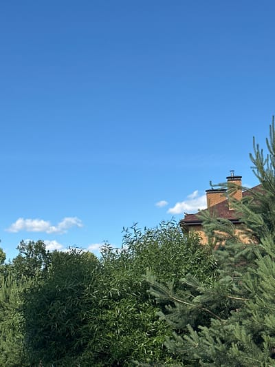 In the village of Dubrovitsy, Russia, a clear blue sky with sparse white clouds is visible above a dense canopy of green trees. The foliage of various trees, including pine and deciduous varieties, fills the lower portion of the frame. Peeking through the trees on the right side of the image is the corner of a brick house with a brown shingled roof. A brick chimney with a metal cap stands prominently on the roof.